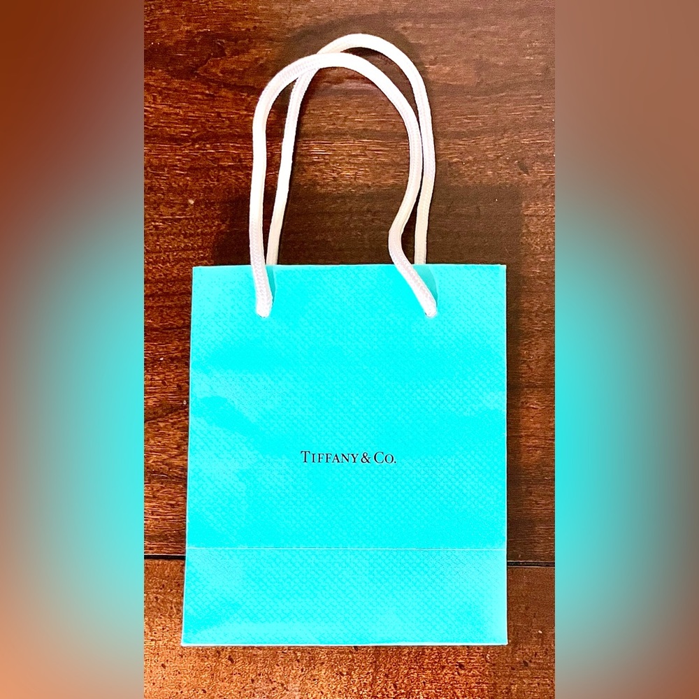 Tiffany & Co. Turquoise Bag with White Handles